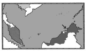 Karte: Die Insel Labuan liegt an der Nordkste von Borneo